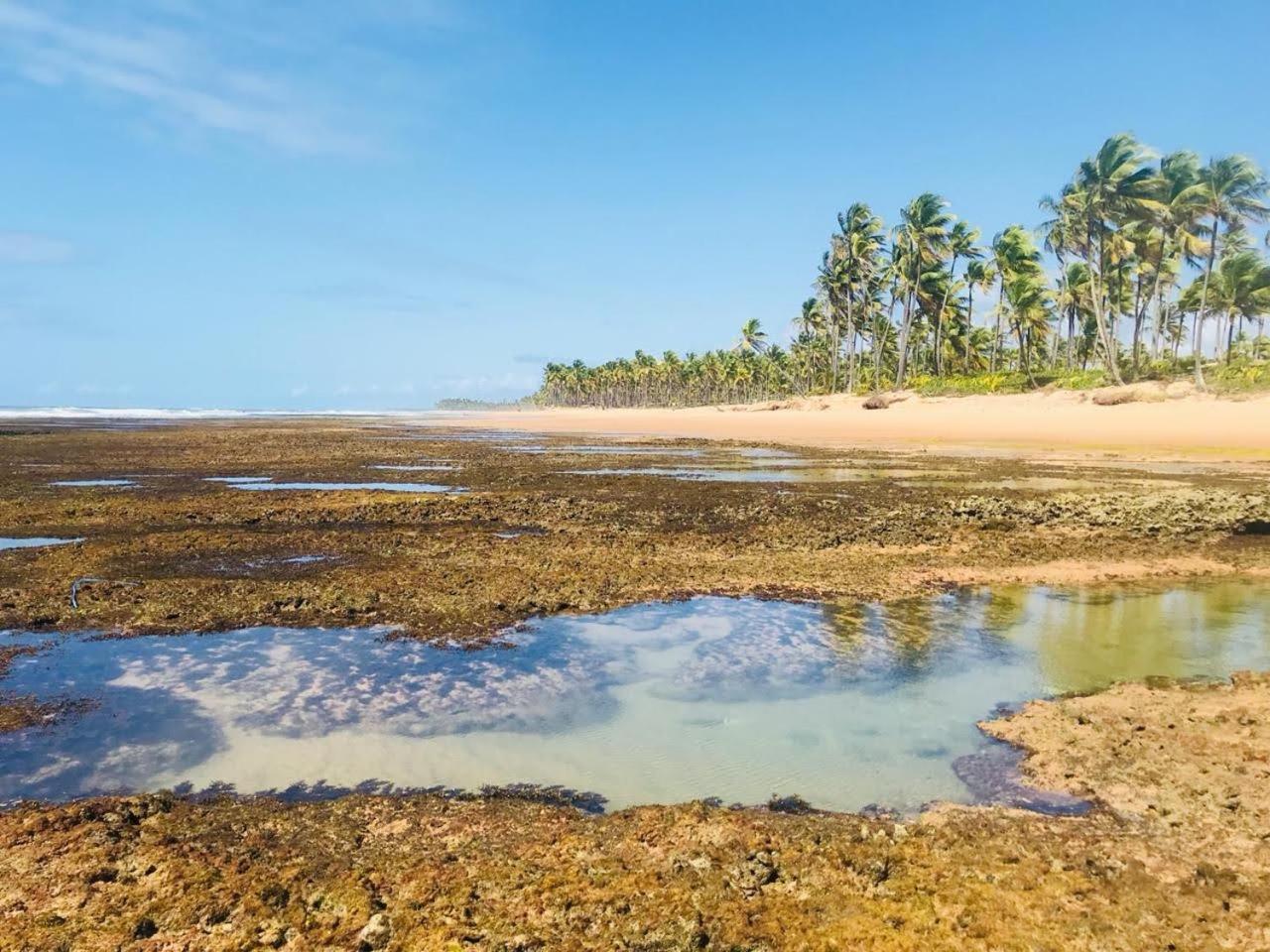 Pousada Velas E Vento - Barra Grande, Taipu De Fora, Marau Барра-Гранди Экстерьер фото